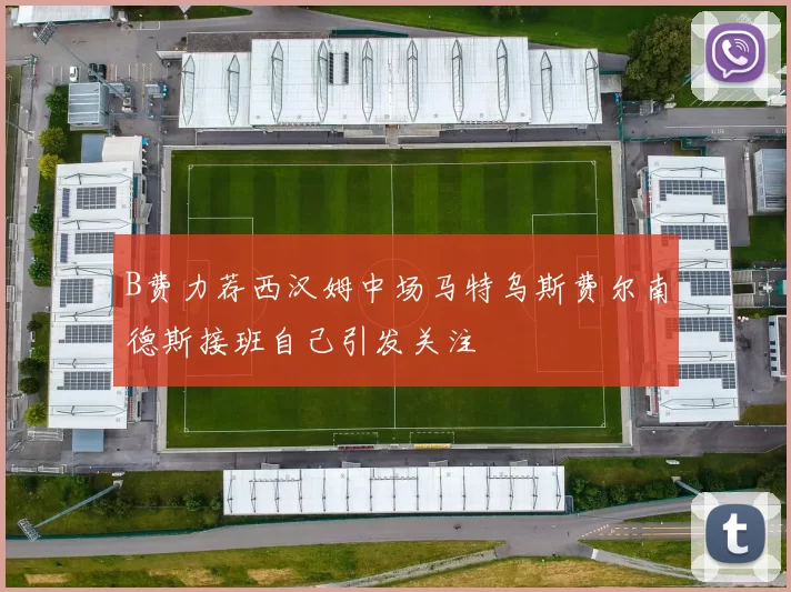 B费力荐西汉姆中场马特乌斯费尔南德斯接班自己引发关注