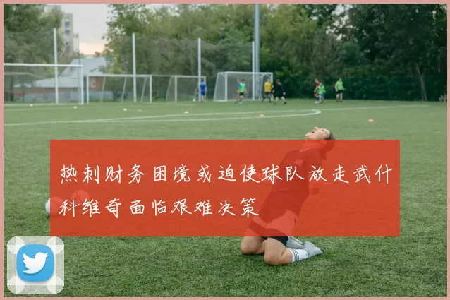 热刺财务困境或迫使球队放走武什科维奇面临艰难决策