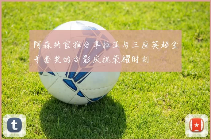 阿森纳官推分享拉亚与三座英超金手套奖的合影庆祝荣耀时刻